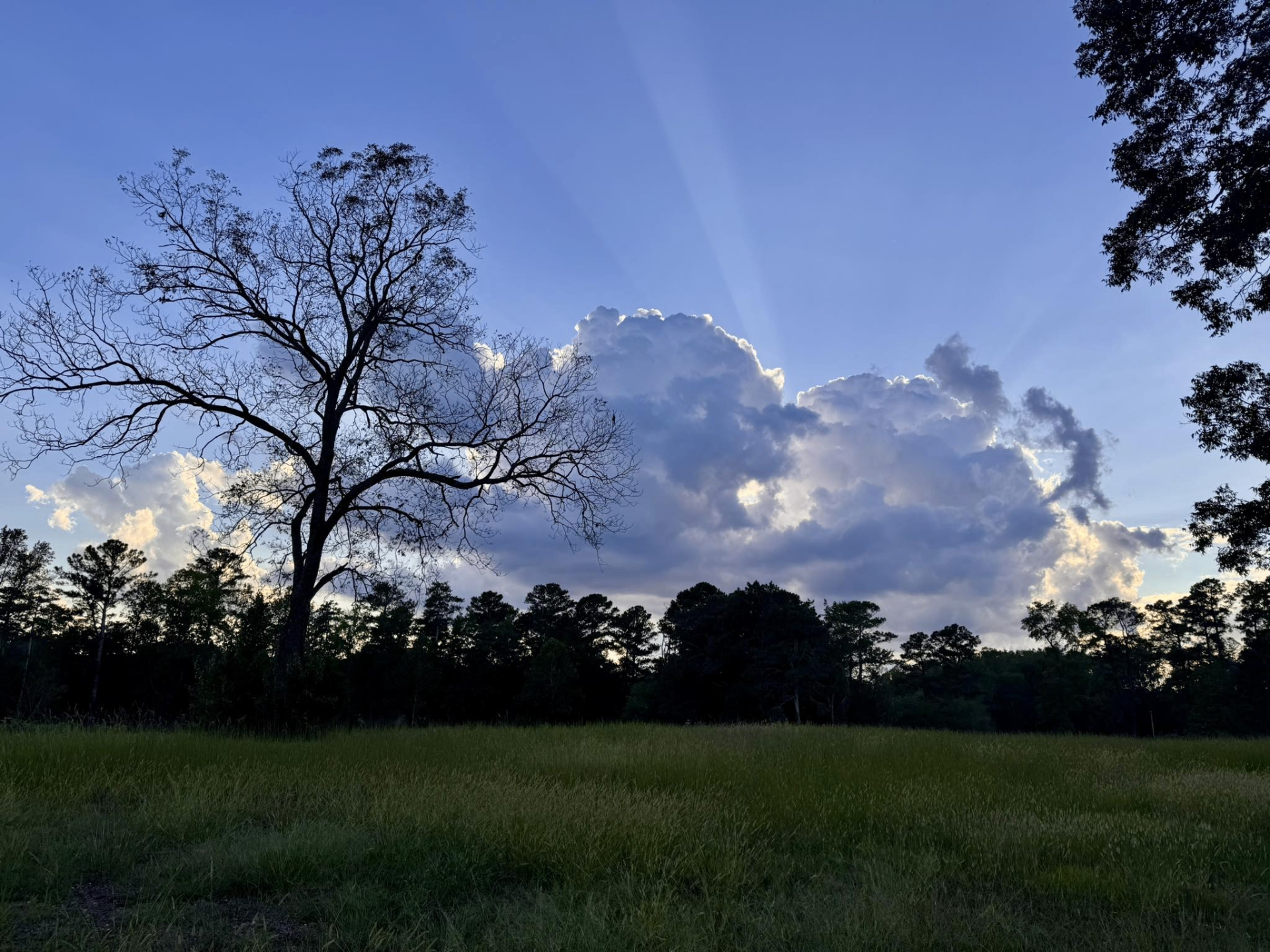 Sunset sky over a meadow in The Hampshires